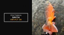 Поставка SMITH август 2026