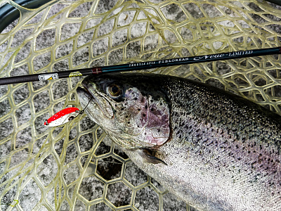 Troutin Spin Fieldream Neue Limited 5`11
