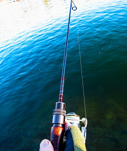 Troutin Spin Fieldream Neue Limited 5`11