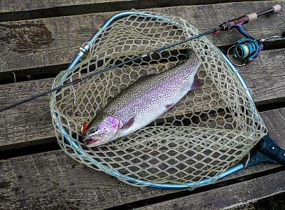 Troutin Spin Fieldream Neue Limited 5`11