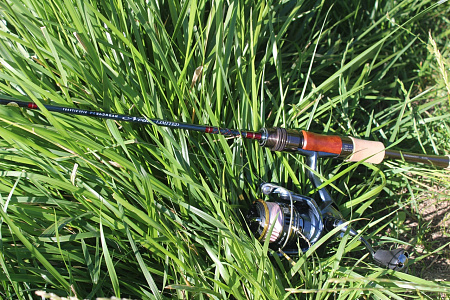 Troutin Spin Fieldream Neue Limited 5`11