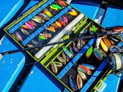 Troutin Spin Fieldream Neue Limited 5`11