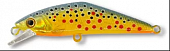 Т5