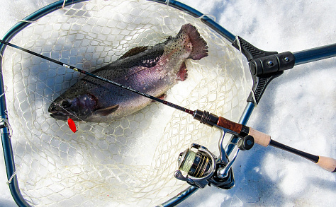 Troutin Spin Fieldream Neue Limited 5`11